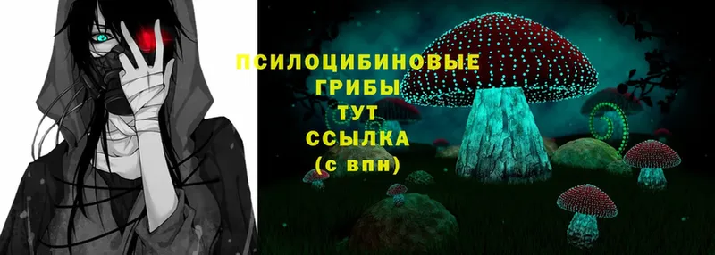 Псилоцибиновые грибы Magic Shrooms Бавлы